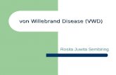 Kuliah 6 Von Willebrand Disease (VWD)
