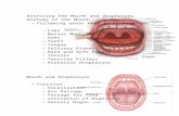 Assessing the Mouth and Oropharynx-Word