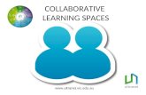 ULTRANET COLLABORATIVE LEARNING SPACES
