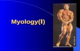 Introduction of Myology