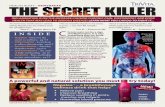 The Secret Killer Brochure