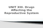 UNIT XIII Drugs Affecting the Reproductive System