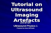 Artefactos en ultrasonido, un tutorial