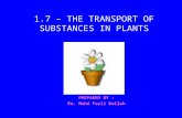 Sub 1.7 - Transport in Plants