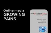 Online media: growing pains