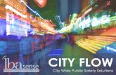 City Wide Public Safety Solutions - DFRC AG