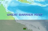 Australian - Great Barrier Reef