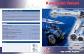 2 Kawasaki ZX