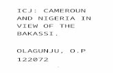 International Court of Justice on Bakassi Peninsula: CAMEROUN&NIGERIA