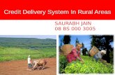 Credit Delivery in rural india