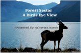 Forestry  Sector Analysis of India (Paper and NTFP Sub  Sector Analysis)
