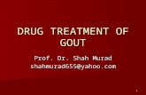 Drug Treatment of Gout