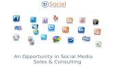A Growing Opportunity in Social Media Sales & Consulting