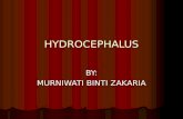 Hydrocephalus Updates