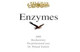 Enzymes Basic Concepts and Kinetics 79