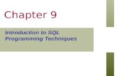 Introduction to SQL Programming Techniques