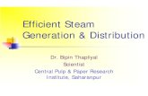 Efficient Steam Generation & Distribution