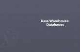 Data Warehouse Databases