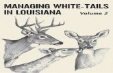 Managing White Tails in Louisiana (excerpts)