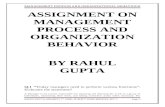 Assignment on Management process and Organization Behavior