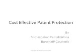 Cost effective patent protection