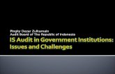 Is audit in government institutions
