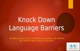 Knock Down Language Barriers