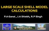 Large Scale Shell Model Calculations