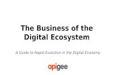 The Business of the Digital Ecosystem