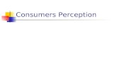 Consumers Perception
