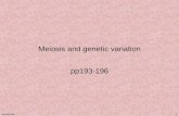 Meiosis and Genetic Variation Pp193-196