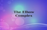 Bio Mechanics of the Elbow