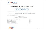 Business Communication Project ZONG