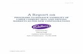 Final Report - Cadbury