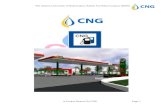 Zahid CNG Business Plan