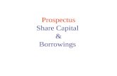 Prospectus & Shares & Borrowings
