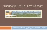 Thousand Hills Pet Resort Power Point