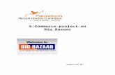 Pantaloon Retail India-E-Commerce project on Big Bazaar
