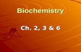 Biochemistry Ch 2,3,6