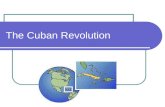 Cuban revolution 2011