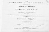 The Botanical Register-Exotic Plants- Edwards, Ridgway