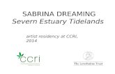 Sabrina Dreaming - Severn Estuary Tidelands