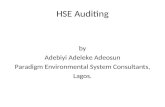 HSE Auditors Training