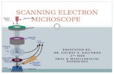 Scanning electon microscope. Dr. GAURAV SALUNKHE