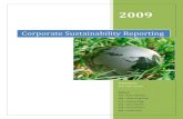 Corporate Sustainability Reporting