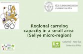 ROSKO14 - Regional carrying capacity in a small area