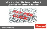 Why You Need PPC Experts When It Comes To ROI and Paid Search?