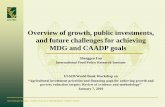 Overview of growth, public investments, and future challenges for achieving MDG and CAADP goals_2010