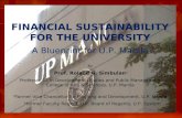 Financial sustainability for the university