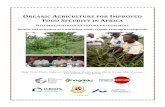 Organic Agriculture for IMPROVED Food Security in Africa